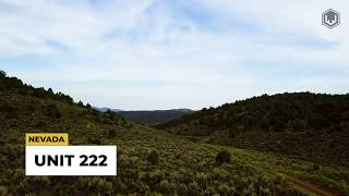Unit 222 | Nevada