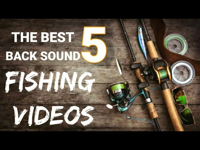 5 Musik Backsound Terbaik Untuk Video Mancing No Copyright class=