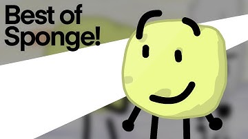 Best of Sponge!