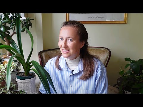 Reviving OLD 💐Roses💐: How & Why its Essential!