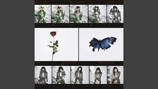 Download Lagu When the flower bloom (Feat. Han Yo Han) (feat. 한요한) Download Lagu When the flower bloom (Feat. Han Yo Han) (feat. 한요한)