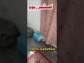 Portable Ac customer reviews