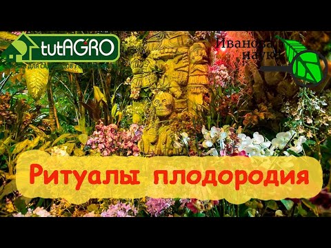 ПРИМЕНИТЕ ВСЕГО 2