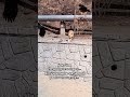 Может и к лучшему, что остерегается.... Столько жестокости кругом...
