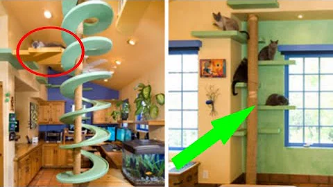 Man Spends $35,000 To Turn His House Into A Playground For His 18 Cats