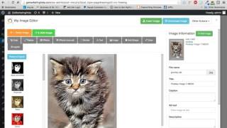 WP Image Editor Image Suite