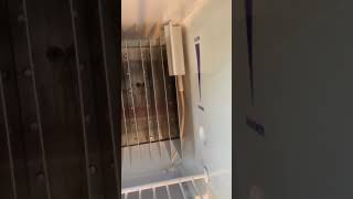 Four person rv walk through