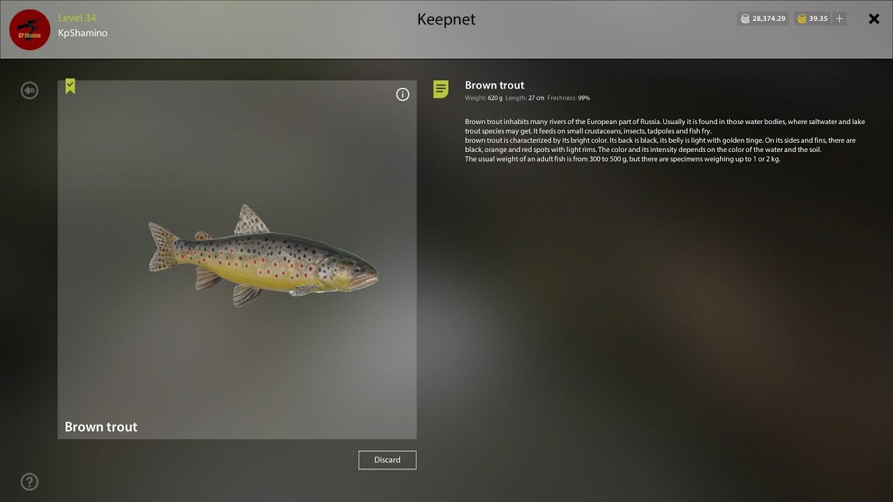 Russian Fishing 4, Brown Trout Guide, Belaya River YouTube