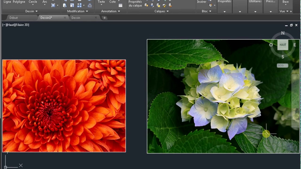 Image De Eau Comment Inserer Dessin Autocad Word