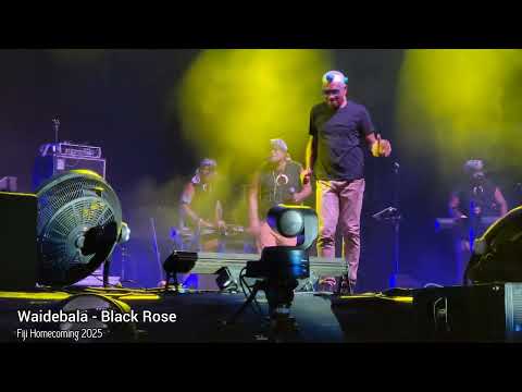 Waidebala - Black Rose (Fiji Homecoming 2025)