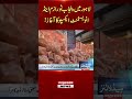 Punjab Tourism Expo 2026 | #tourism #expo2026 #breakingnews #ytshorts