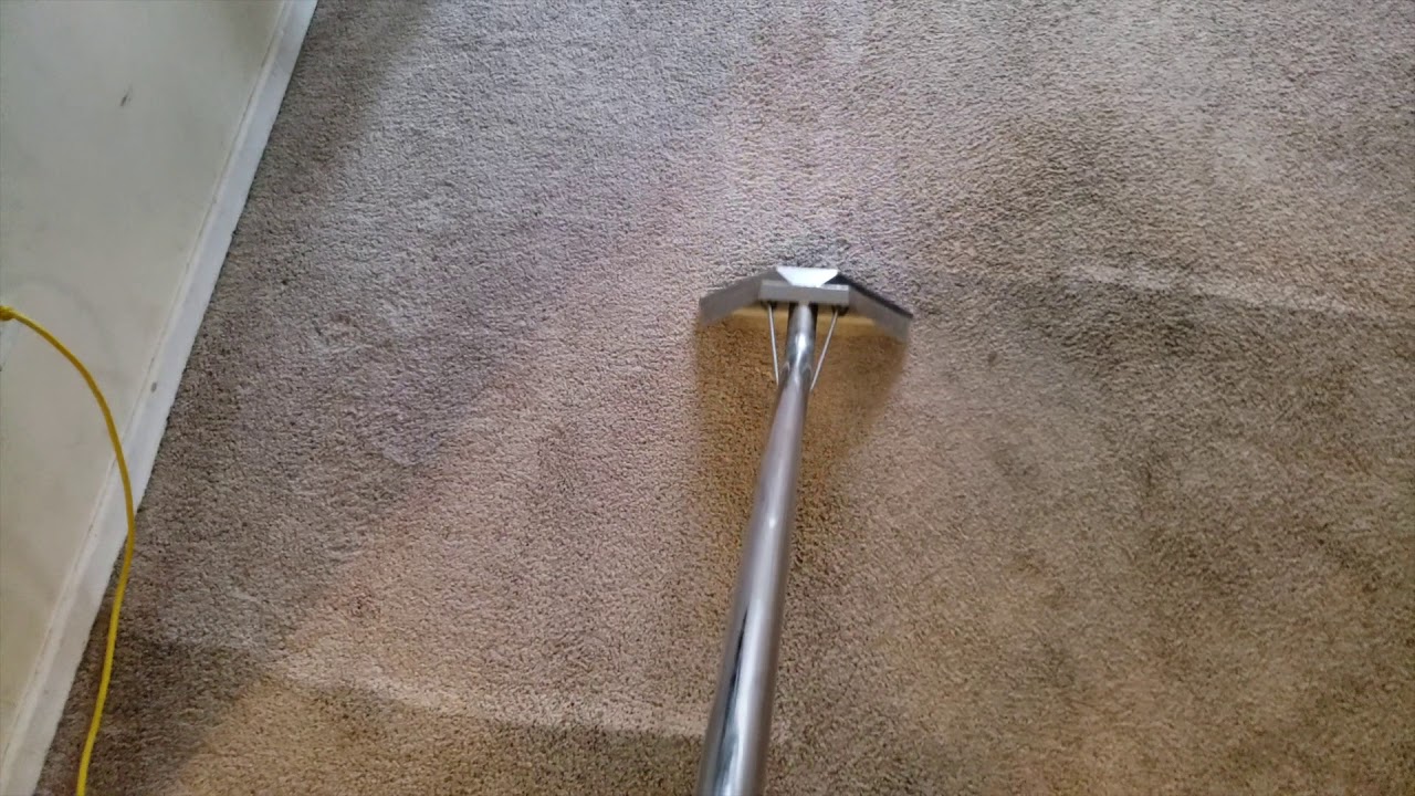 Amna cleaning services Cleaning 20 year old carpet (Kitchener Ontario) YouTube