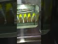 Sleeving line for cylindrical bottles TADBIK
