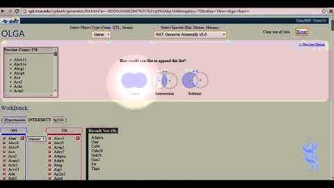Olga Video Tutorial YouTube