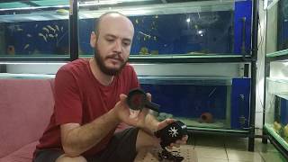 Unistar 4L Iç Filtre Inceleme En Iyi İç Filtre - Sump Kafa Motoru