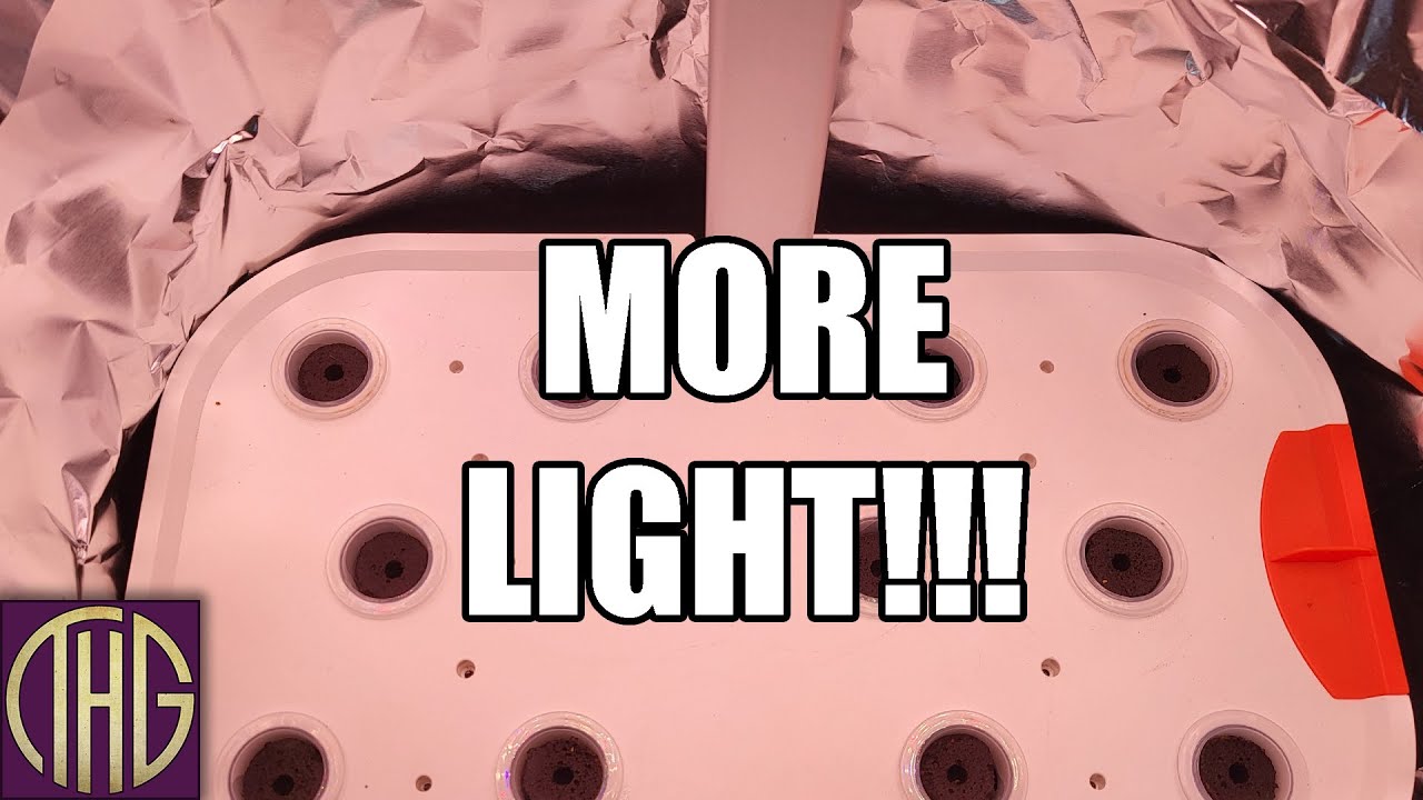 Even More Light!!! Reflective Shroud OnThe Spider Farmer G12 Indoor Grow System!!