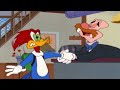 Apuro | El Pájaro Loco | Dibujos animados para niños | WildBrain en Español