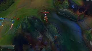 clean adrian flash double cast riven combo - The Fly