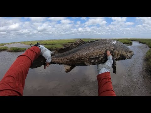 I Caught A SWAMP MONSTER! Texas Kayak Fishing