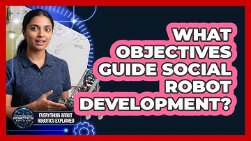 What Objectives Guide Social Robot Development?