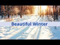Beautiful Winter | Snowfall | Stock Footage | No Copyright Videos