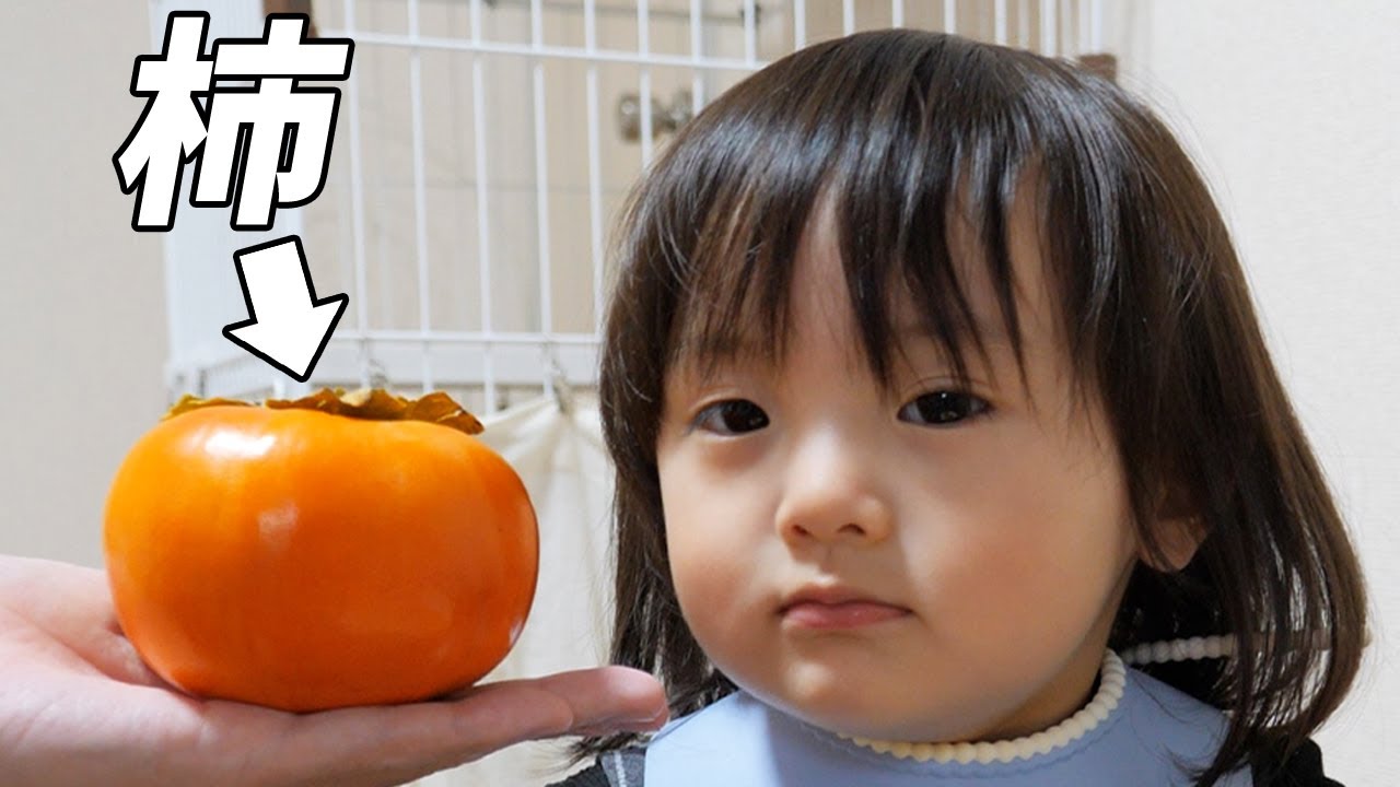 秋を味わう2歳娘。柿を食べてみるも…