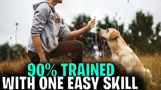 How To Get Your Dog 90% Trained with This One Easy Skill