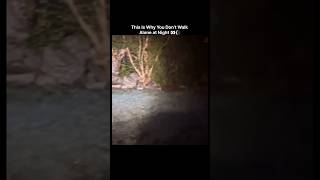 Don't Walk Alone at Night 👀🌘. #info #warning #shorts #viral #trending #birds