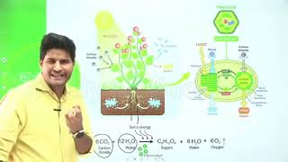 Cell Part 04 | Railway ALP Tech. JE & Group D Nirman Batch (2026)| @Study1Education-d8u