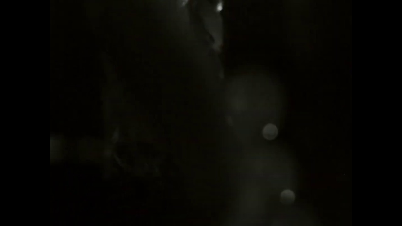 WonderBarPerm Music Video