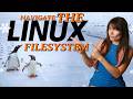Linux Terminal Fundamentals: Navigating in the Filesystem