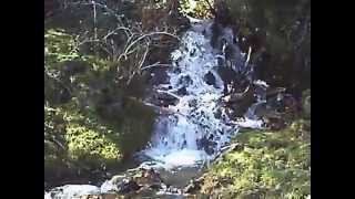 Arroyo de la dehesa en sierra norte de Madrid, por Somosierra, La Acebeda...