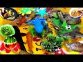 Colorful Cute Animals Compilation Video,Shark,Turtle,Snake,Goldfish,Koi,Guppies,Betta,Crab,Frog