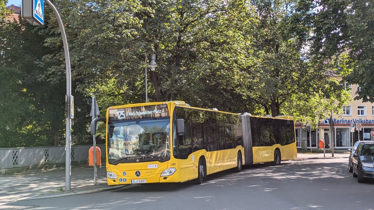Berlin Bus|Aussetzermitfahrt #24 auf dem 125 von S Frohnau bis U Kurt-Schumacher-Platz