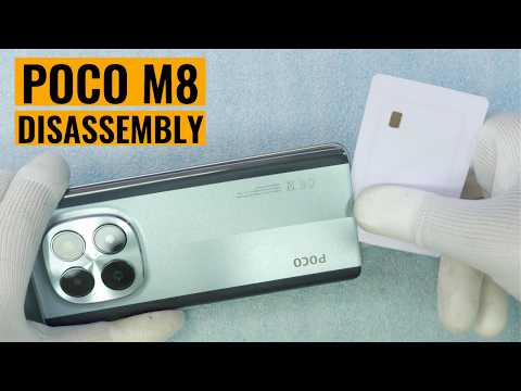 Disassembly / Teardown
