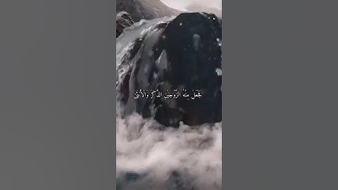 واتس اب قران كريم القارئ ياسر دوسري سوره القيامة #quran_karim_قران_الكريم