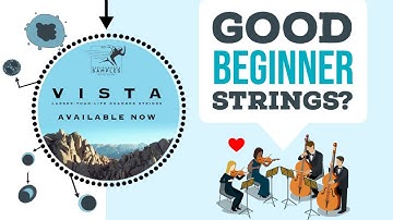Vista Strings: The T-Cells of Strings Libraries | Performance Samples Review