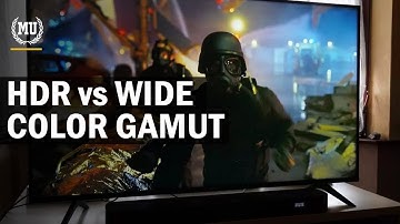 What is High Dynamic Range? | How Does HDR Work? | What is Wide Color Gamut? | HDR vs WCG