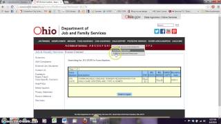 ODJFS Website