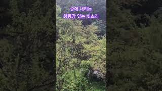 빗소리는 단순소리 이상 입니다. #빗소리asmr #수면유도 #rain