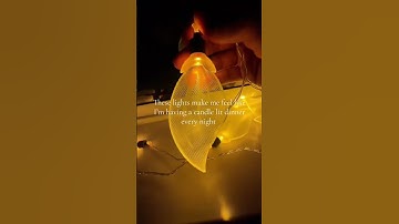 LED string lights that turn your space into a vibe… waterproof, energy-saving, and perfect for