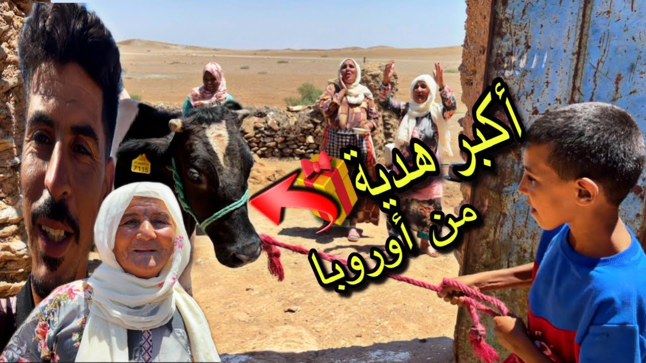 مقداتهم فرحة بالبقرة لي تهداتهم من أوروبا😍 هربات لية في سوق😂متصدقوش مالين دار كيفاش ستقبلو لبقرة