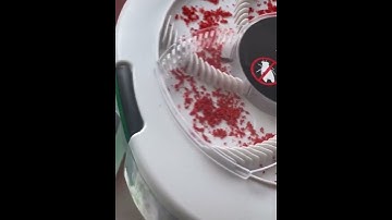 Qualirey Electric Fly Trap Fly Catcher Pest Device Gnat Flying Insect Trap Automatic Indoor Pest Tra