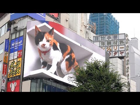 Video: Shinjuku Mitsui Gebäudebeschreibung und Fotos - Japan: Tokio