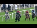 2015 WilliamHill.com Desert Orchid Chase - Sprinter Sacre - Racing UK