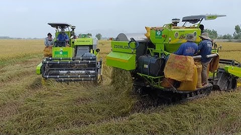 hai máy cắt trung Quốc đua nhau cắt lúa quá nhanh tập40 #maibangtv