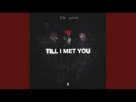 Said The Sky & good problem - Till I Met You