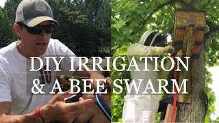 Drip Irrigation &amp; Capturing a Honeybee Swarm