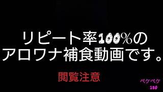 もう一度見たくなる