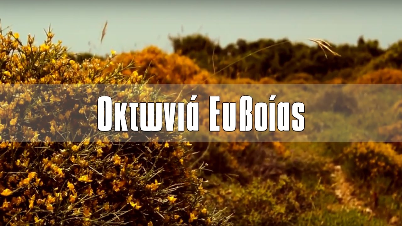 Οκτωνιά Ευβοίας